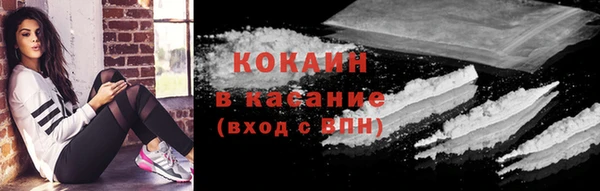 мяу мяу мука Аркадак