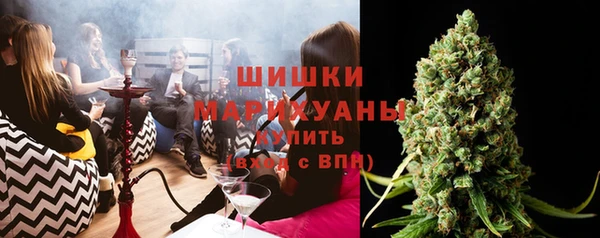 гашиш Богданович