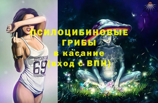 мяу мяу мука Аркадак