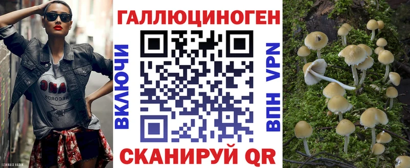 купить  сайты  Красный Кут  Галлюциногенные грибы Psilocybe 
